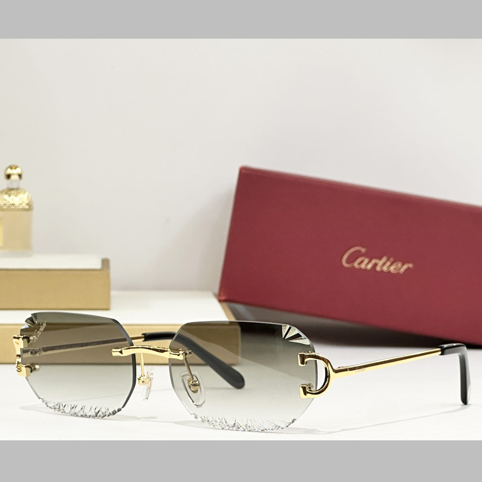 Cartier CT820093O Sunglasses   CT0473S - DopestKickz