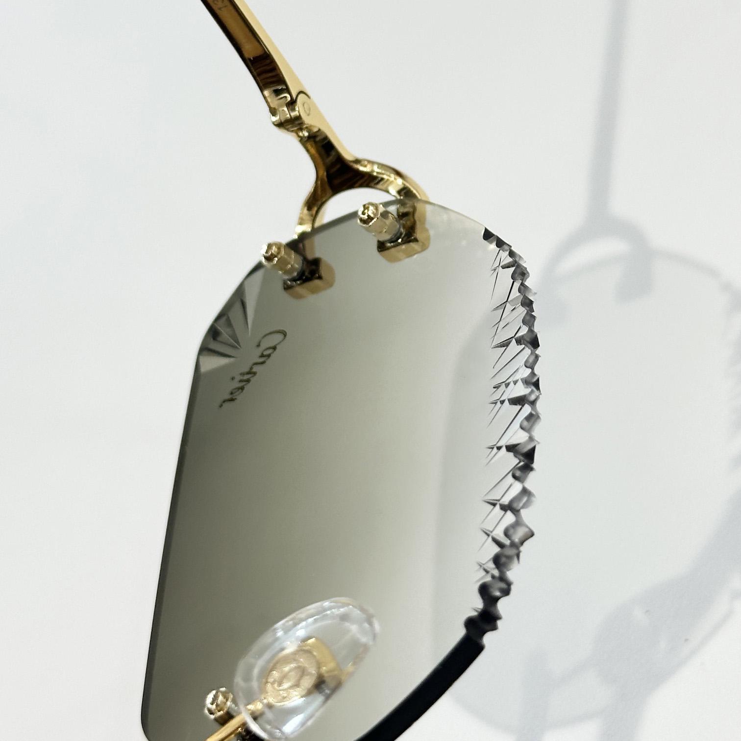 Cartier CT820093O Sunglasses   CT0473S - DopestKickz