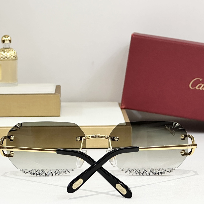 Cartier CT820093O Sunglasses   CT0473S - DopestKickz