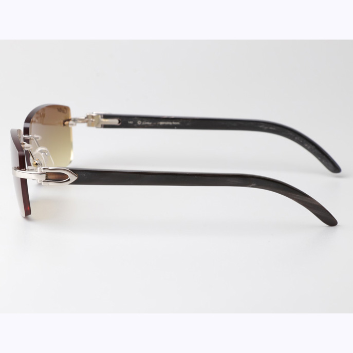 Cartier CT_3524012 Black Buffalo Sunglasses In Silver Brown - DopestKickz