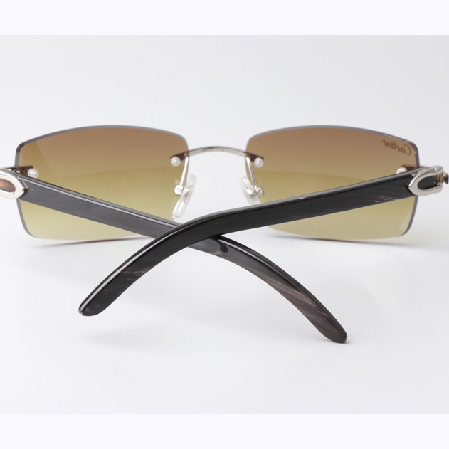 Cartier CT_3524012 Black Buffalo Sunglasses In Silver Brown - DopestKickz