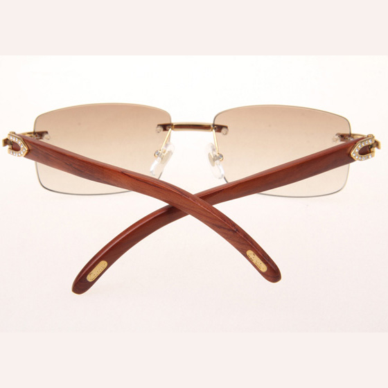 Cartier CT_3524012 Diamond Wood Eyeglasses In Gold_Brown - DopestKickz