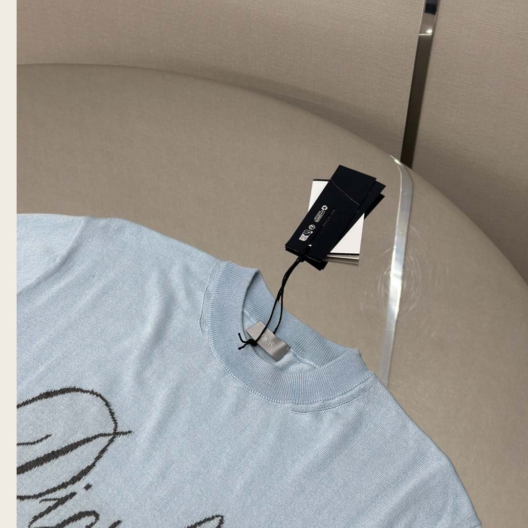 Dior Diorling T-Shirt   - DopestKickz