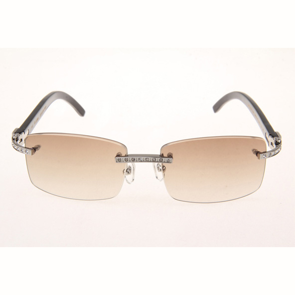 Cartier CT_3524012 Diamond Black Buffalo Eyeglasses In Silver Brown - DopestKickz