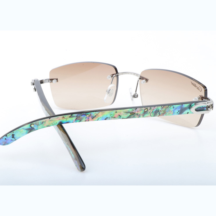 Cartier CT_3524012 Shell Mix Black Buffalo Sunglasses In Silver Brown - DopestKickz