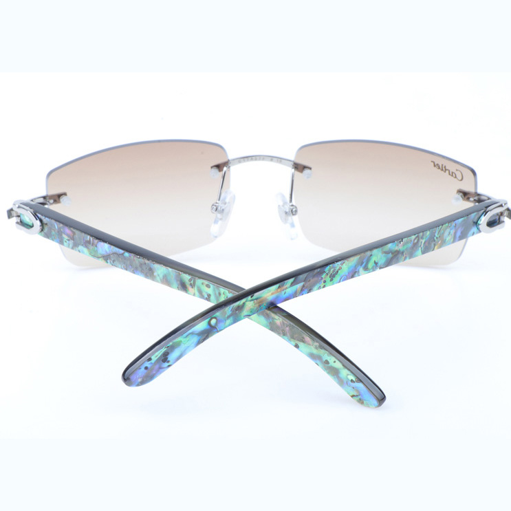 Cartier CT_3524012 Shell Mix Black Buffalo Sunglasses In Silver Brown - DopestKickz