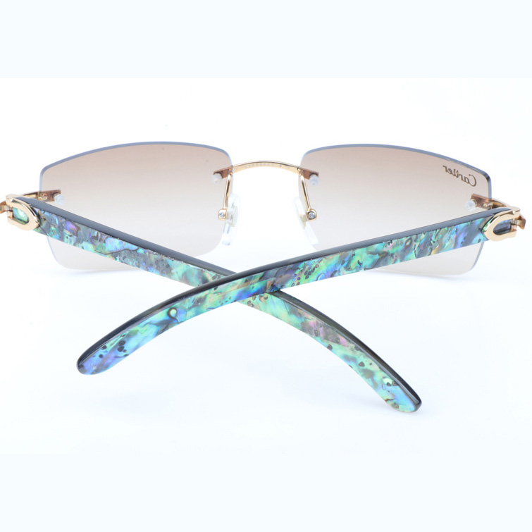 Cartier CT_3524012 Shell Mix Black Buffalo Sunglasses In Gold Brown - DopestKickz