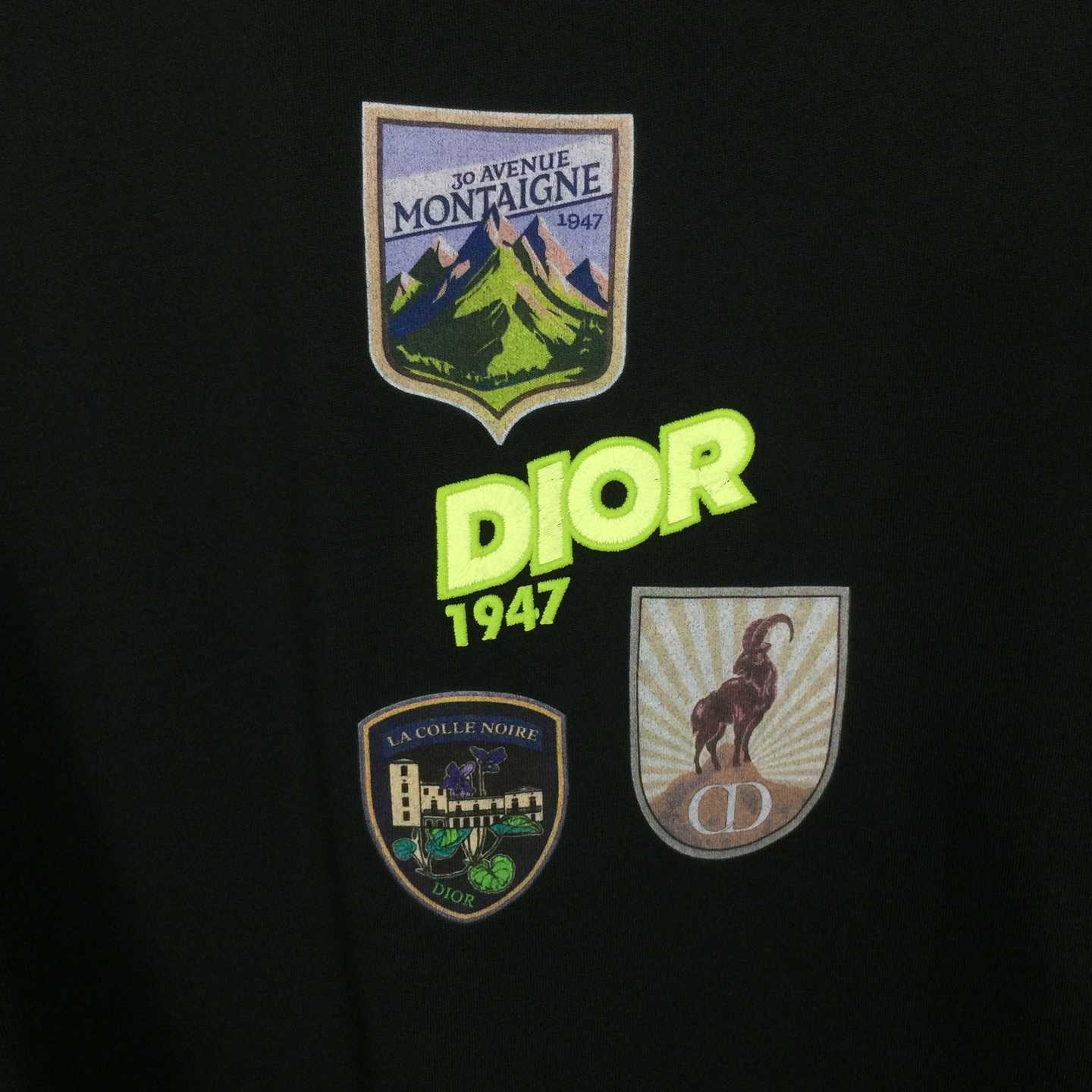 Dior Mountain T-Shirt, Relaxed Fit  - DopestKickz