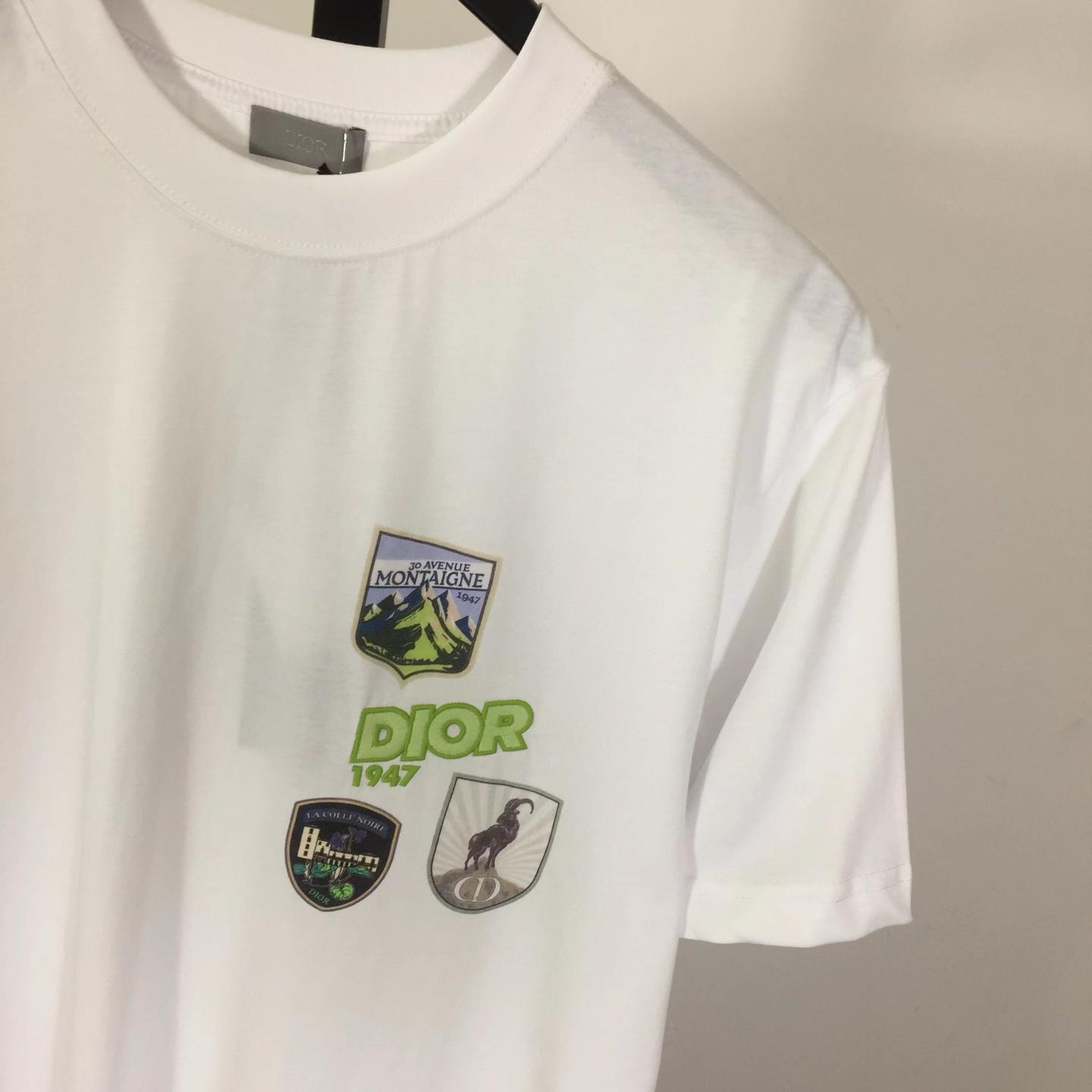 Dior Mountain T-Shirt, Relaxed Fit - DopestKickz