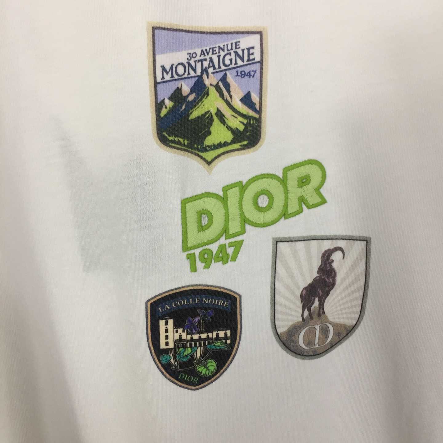 Dior Mountain T-Shirt, Relaxed Fit - DopestKickz