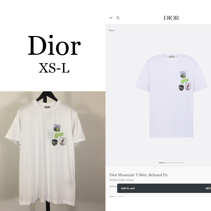 Dior Mountain T-Shirt, Relaxed Fit - DopestKickz