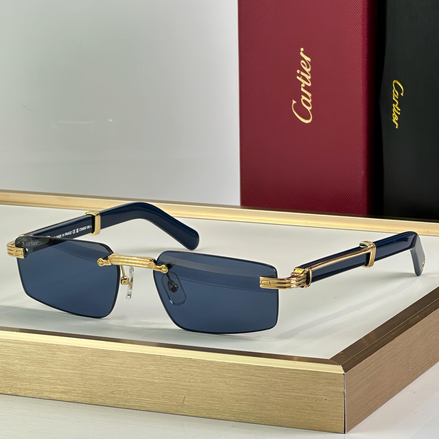 Cartier 0485O Sunglasses   ct0464s - DopestKickz