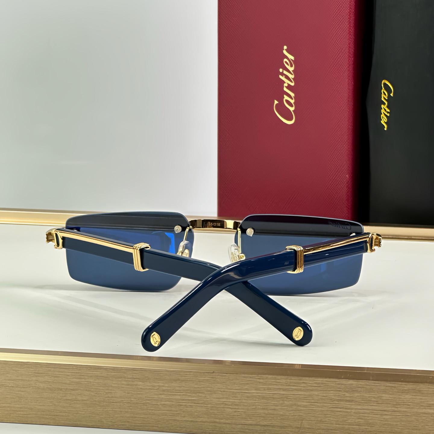 Cartier 0485O Sunglasses   ct0464s - DopestKickz