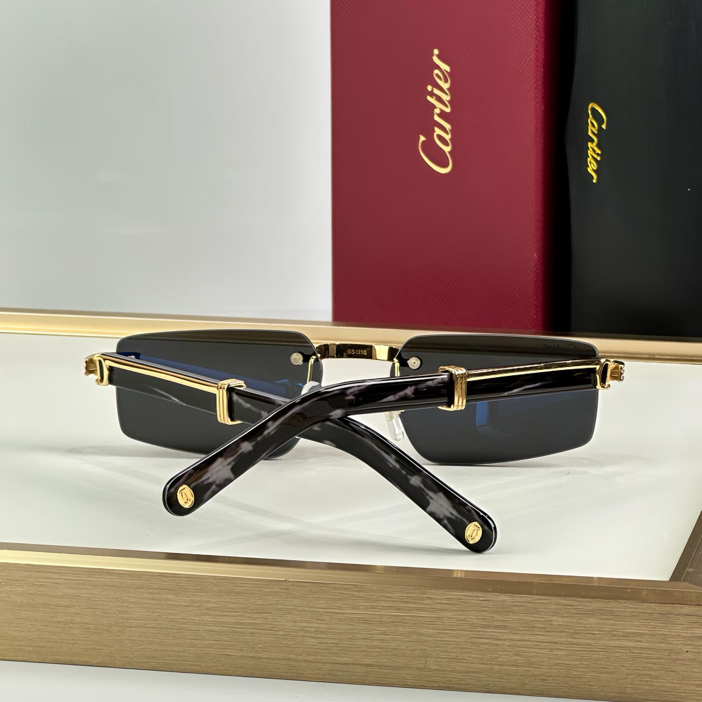 Cartier 0485O Sunglasses   ct0464s - DopestKickz
