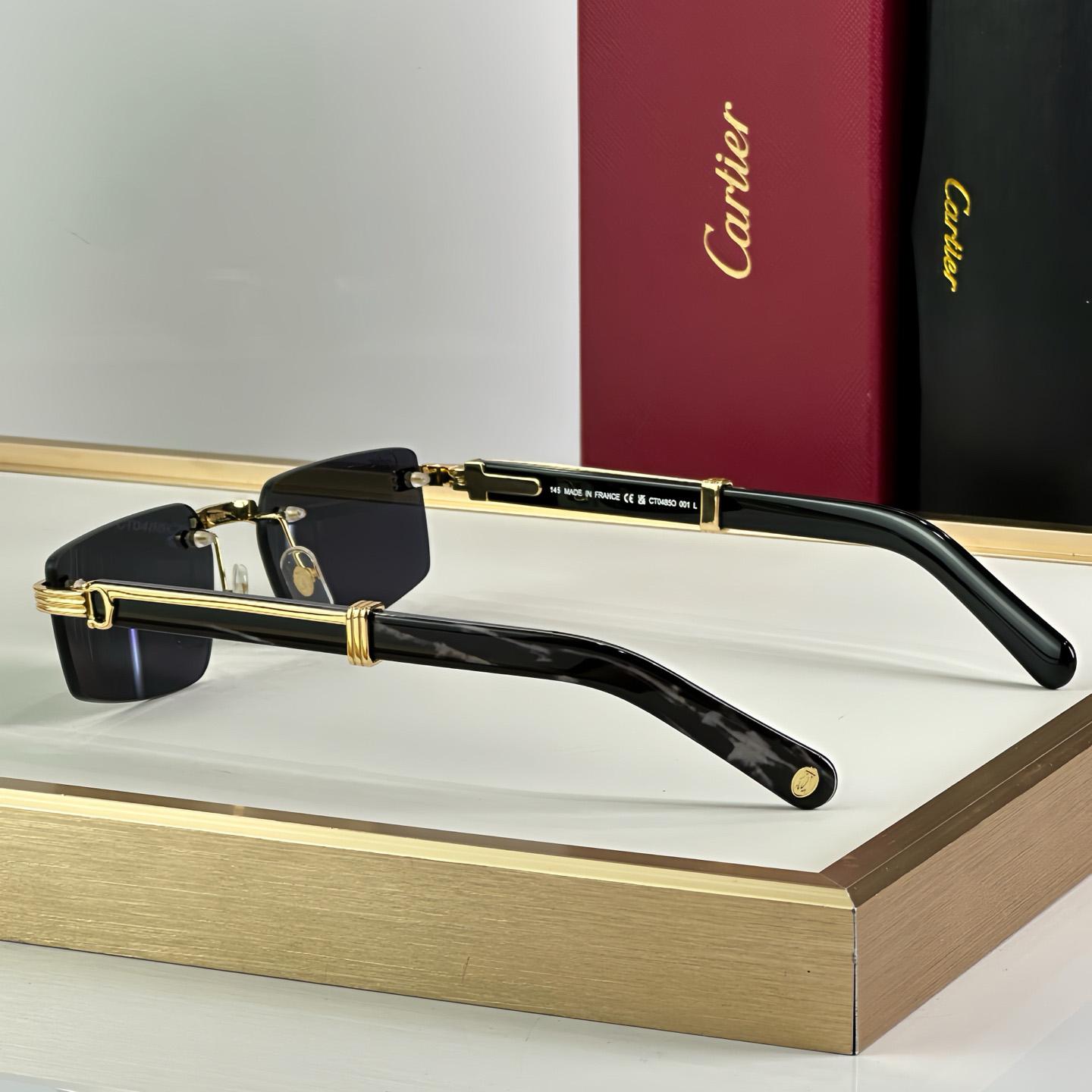 Cartier 0485O Sunglasses   ct0464s - DopestKickz