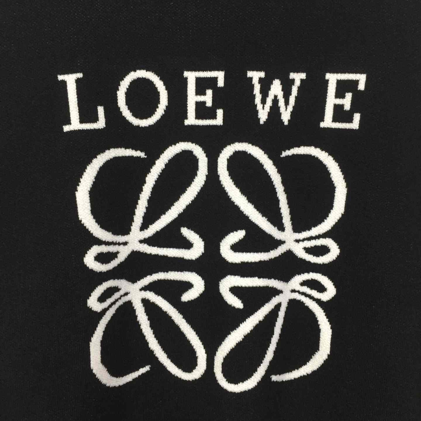Loewe Sweater - DopestKickz