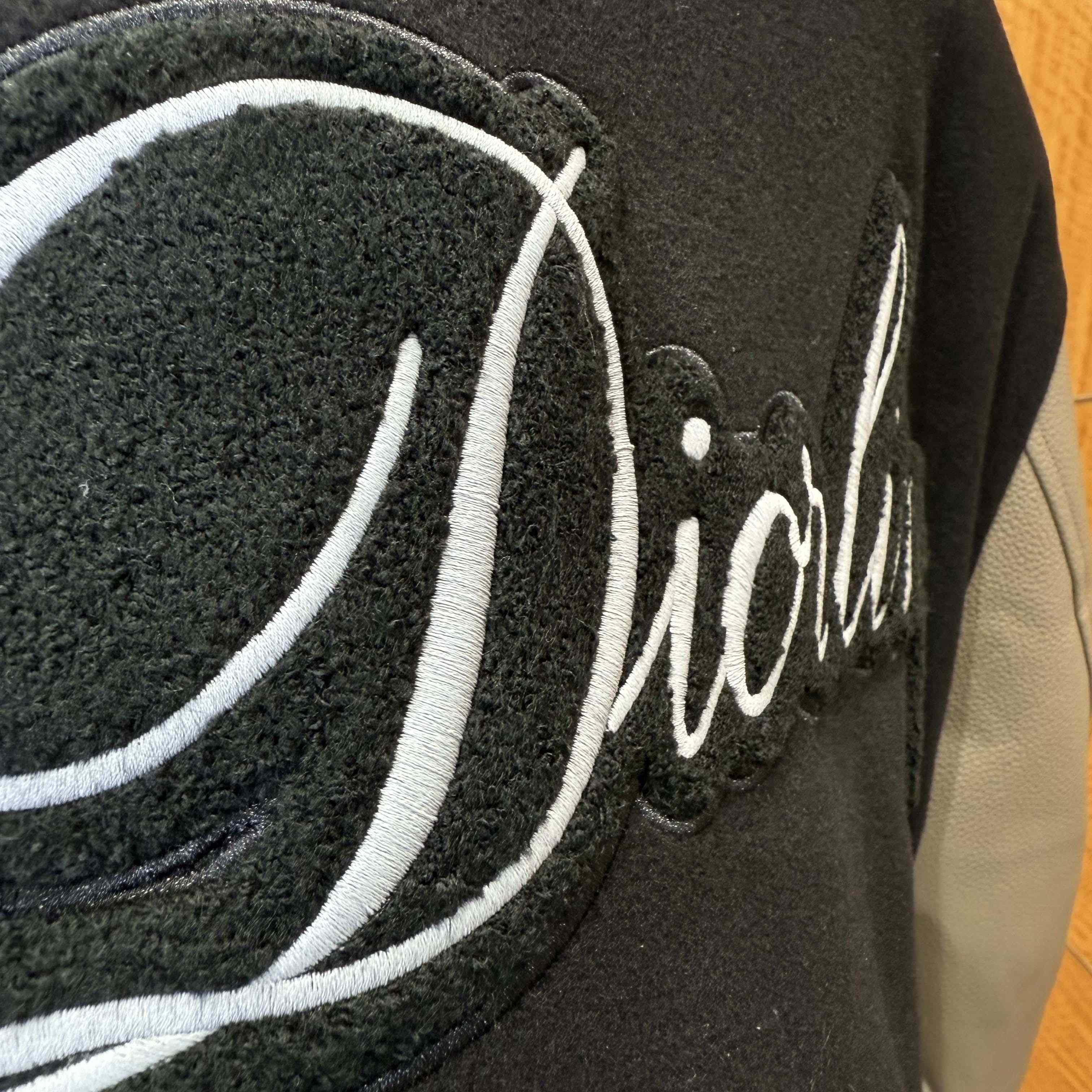 Dior Diorling Blouson Jacket - DopestKickz