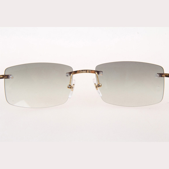 Cartier CT_3524012 White Buffalo Sunglasses In Gold Grey - DopestKickz
