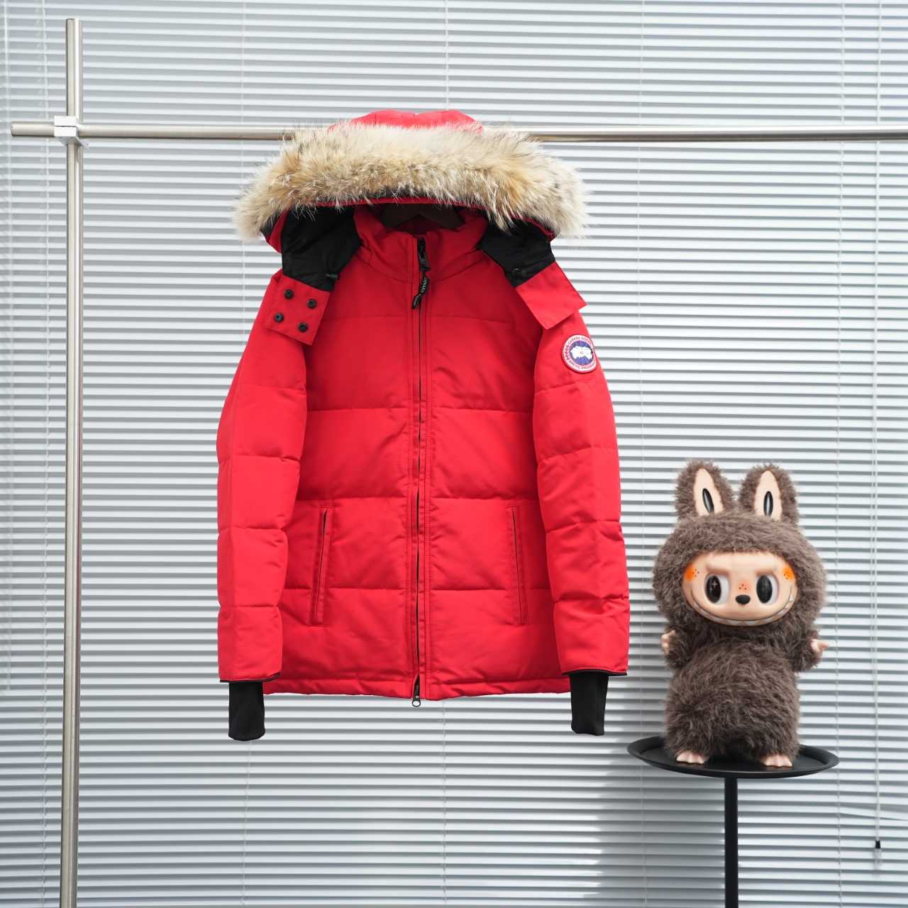Canada Goose Chelsea Parka - DopestKickz