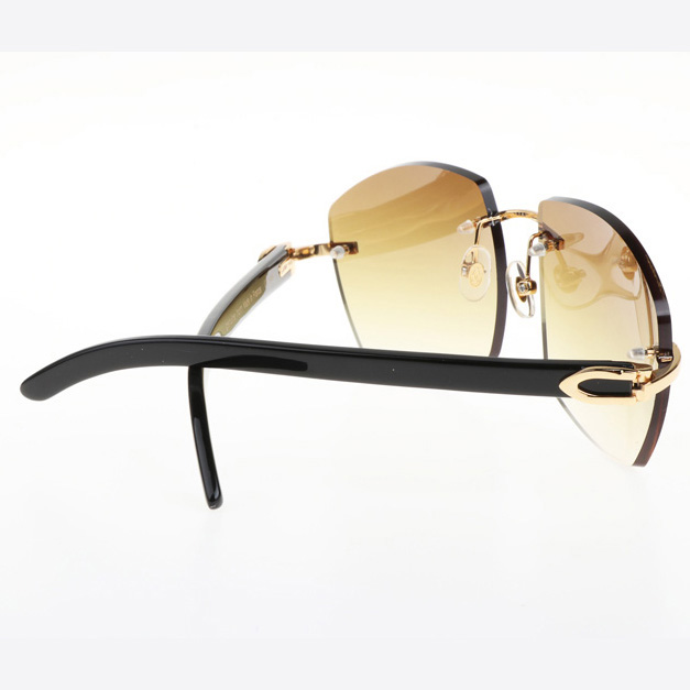 Cartier CT 4189706 Black Buffalo Sunglasses In Gold Gradient Brown - DopestKickz