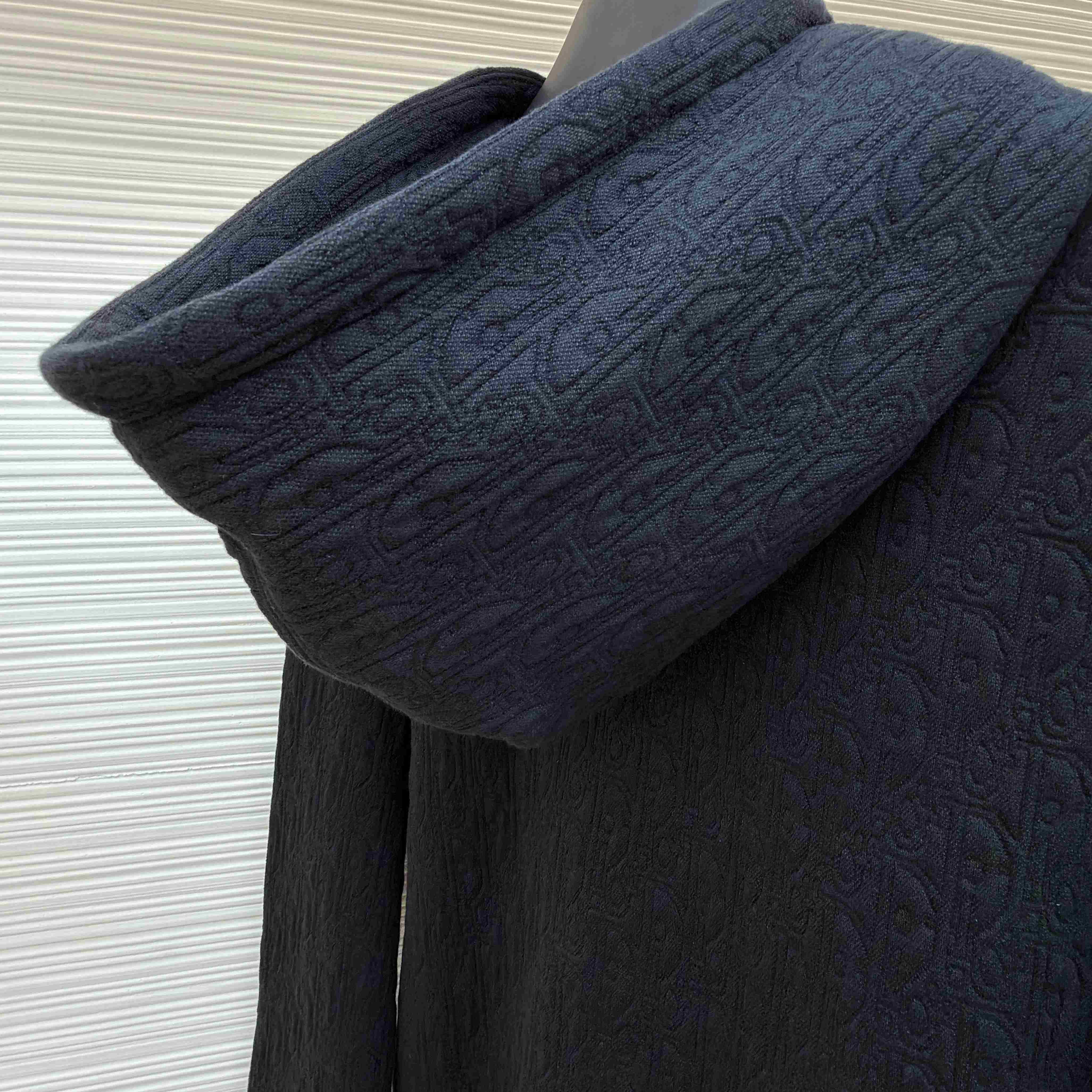 Dior Oblique Hooded Sweatshirt - DopestKickz