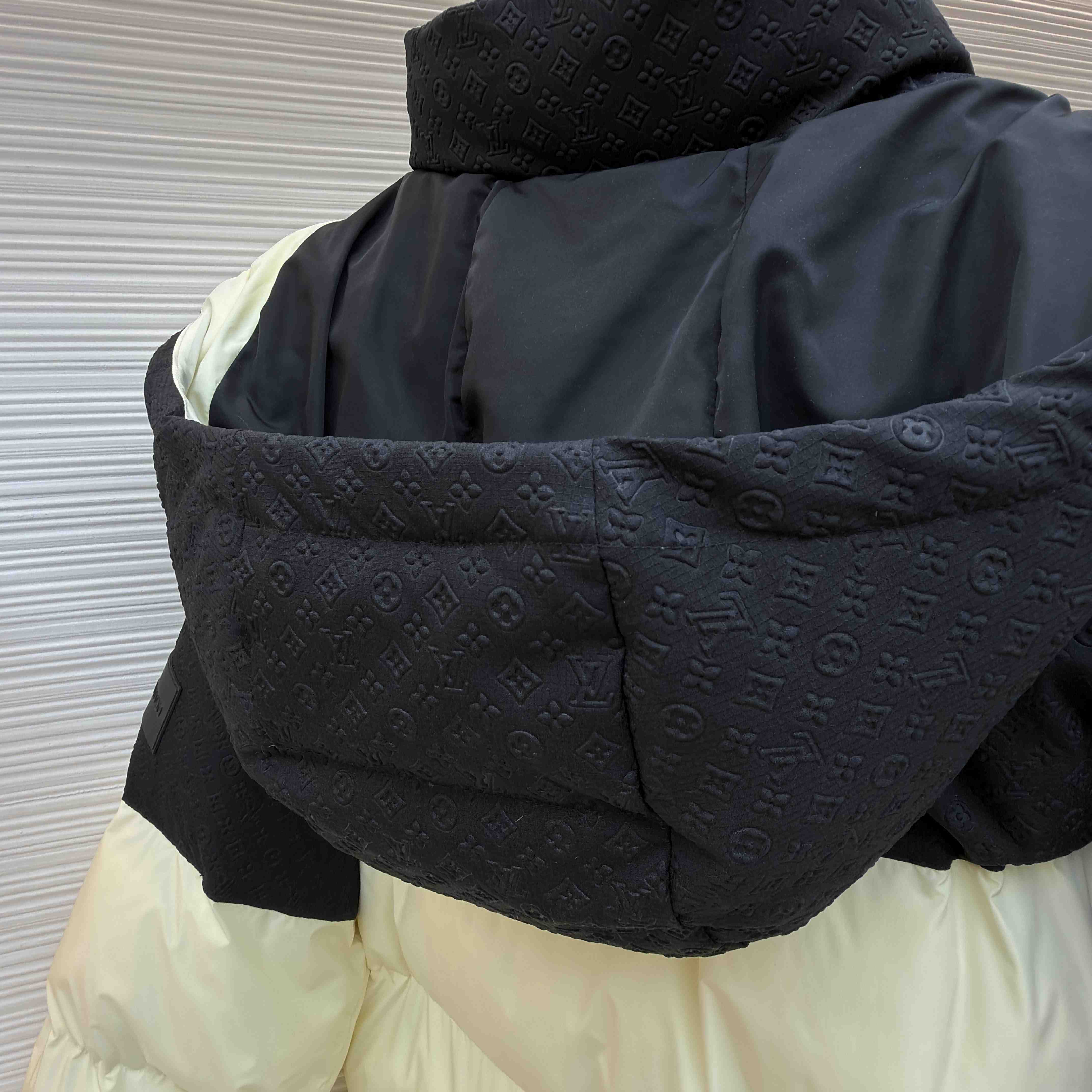 Louis Vuitton Placed Monogram Ecodown Blouson 1AJAZR - DopestKickz