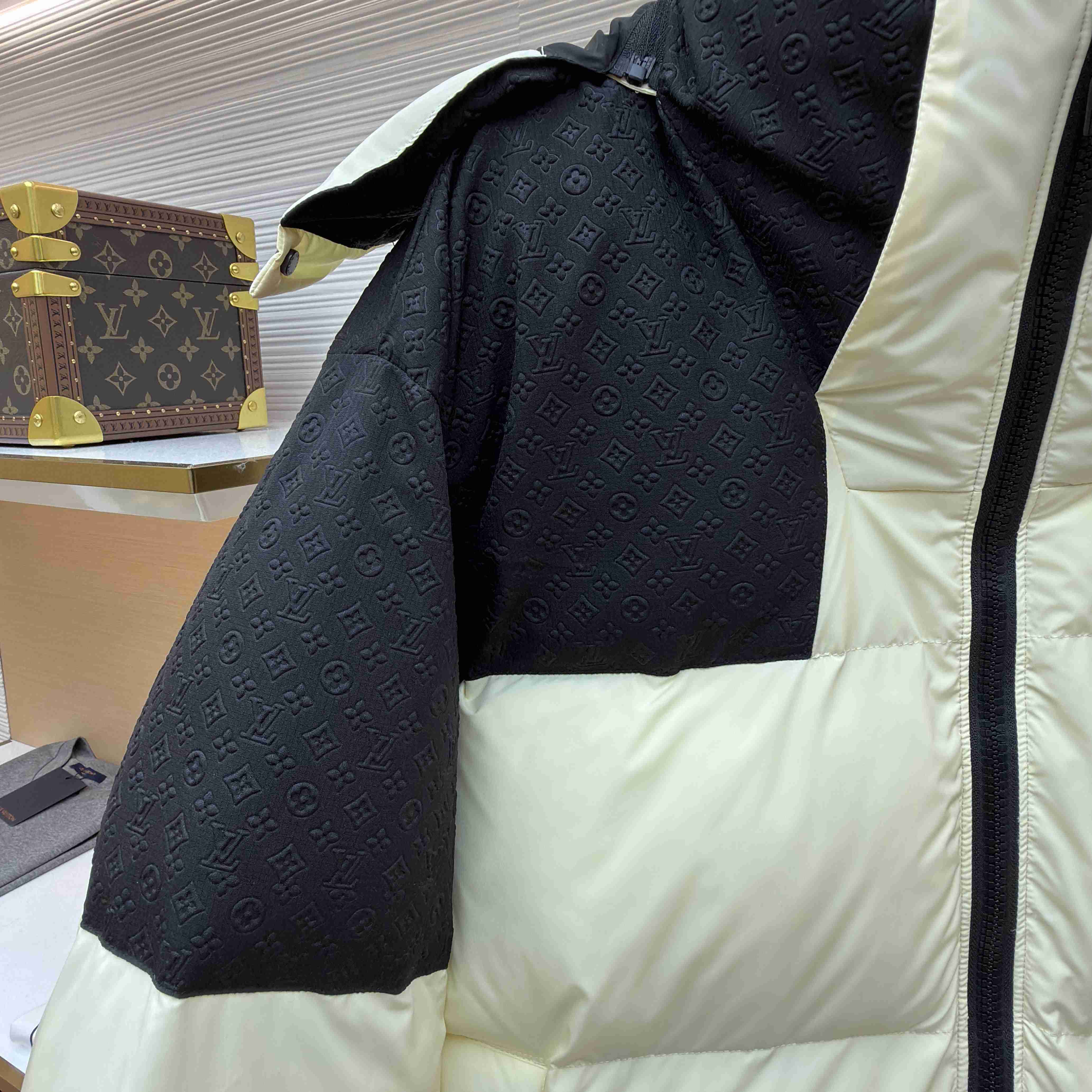 Louis Vuitton Placed Monogram Ecodown Blouson 1AJAZR - DopestKickz