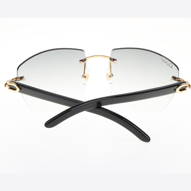 Cartier CT 4189706 Black Buffalo Sunglasses In Gold Gradient Grey - DopestKickz