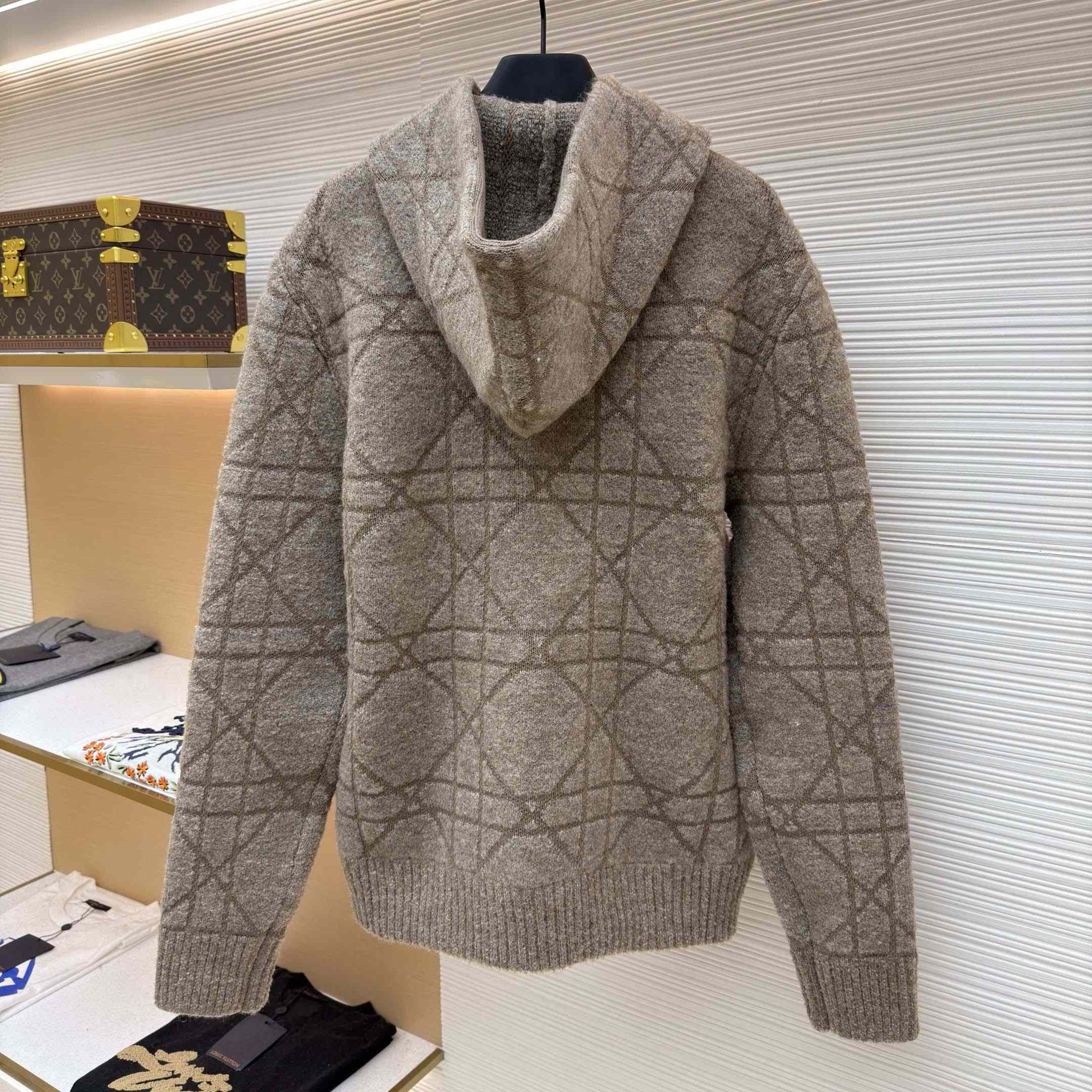 Dior Cannage Hooded Sweatshirt  - DopestKickz