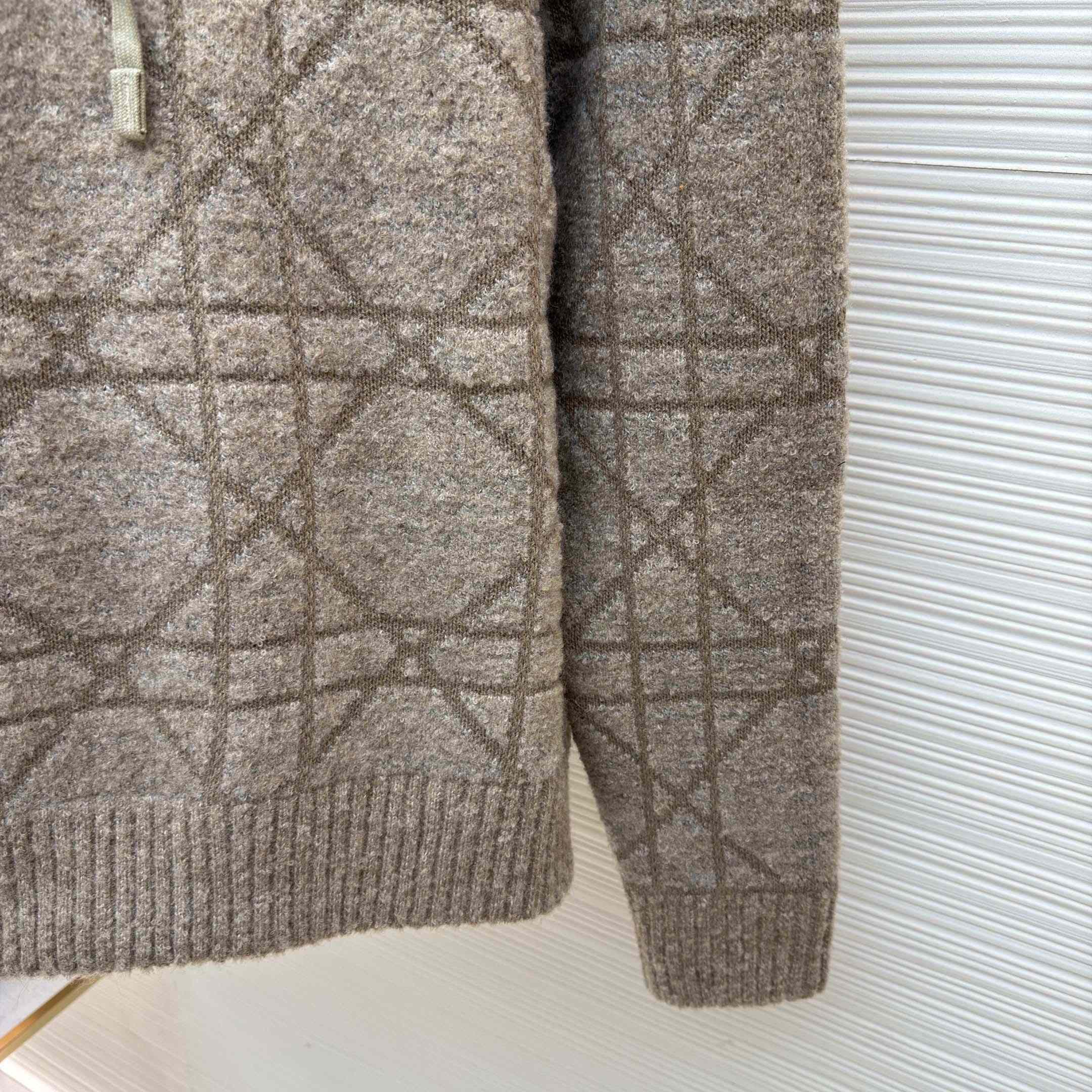 Dior Cannage Hooded Sweatshirt  - DopestKickz