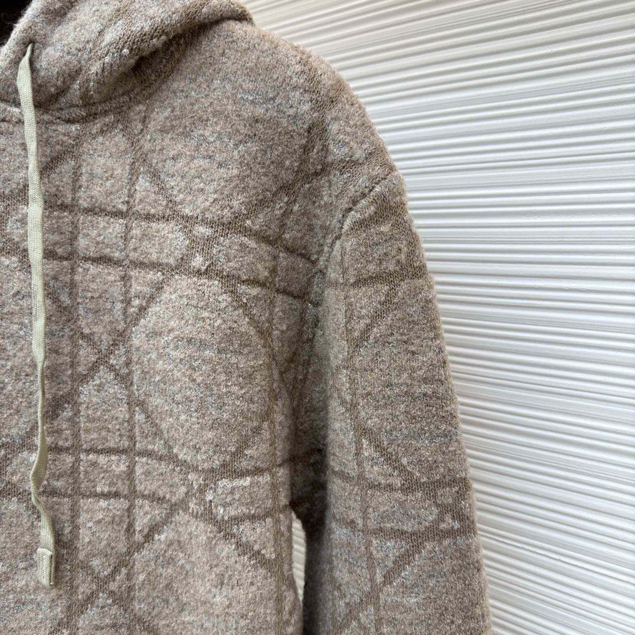 Dior Cannage Hooded Sweatshirt  - DopestKickz