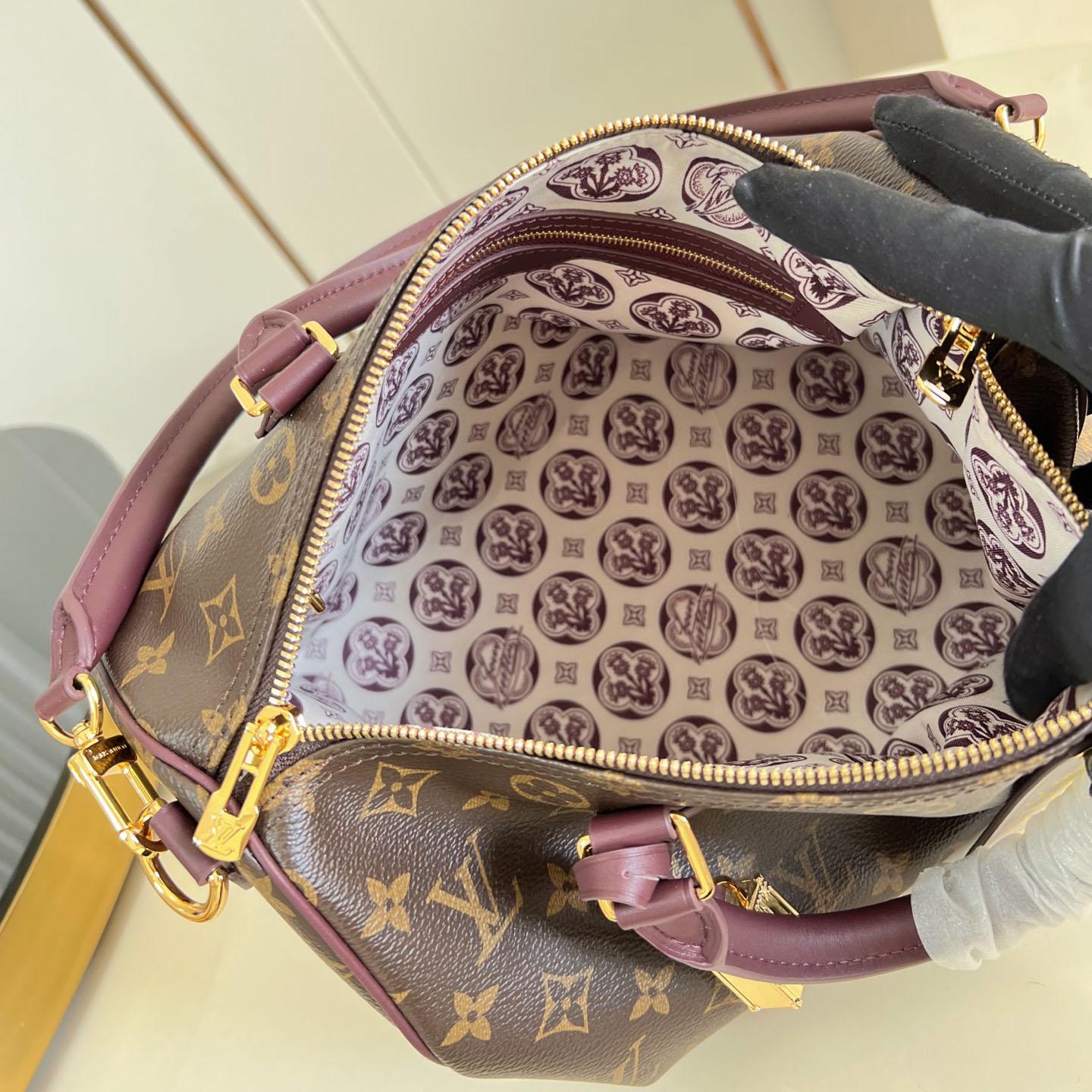 Louis Vuitton Speedy 30 Soft Celebration M28379 - DopestKickz