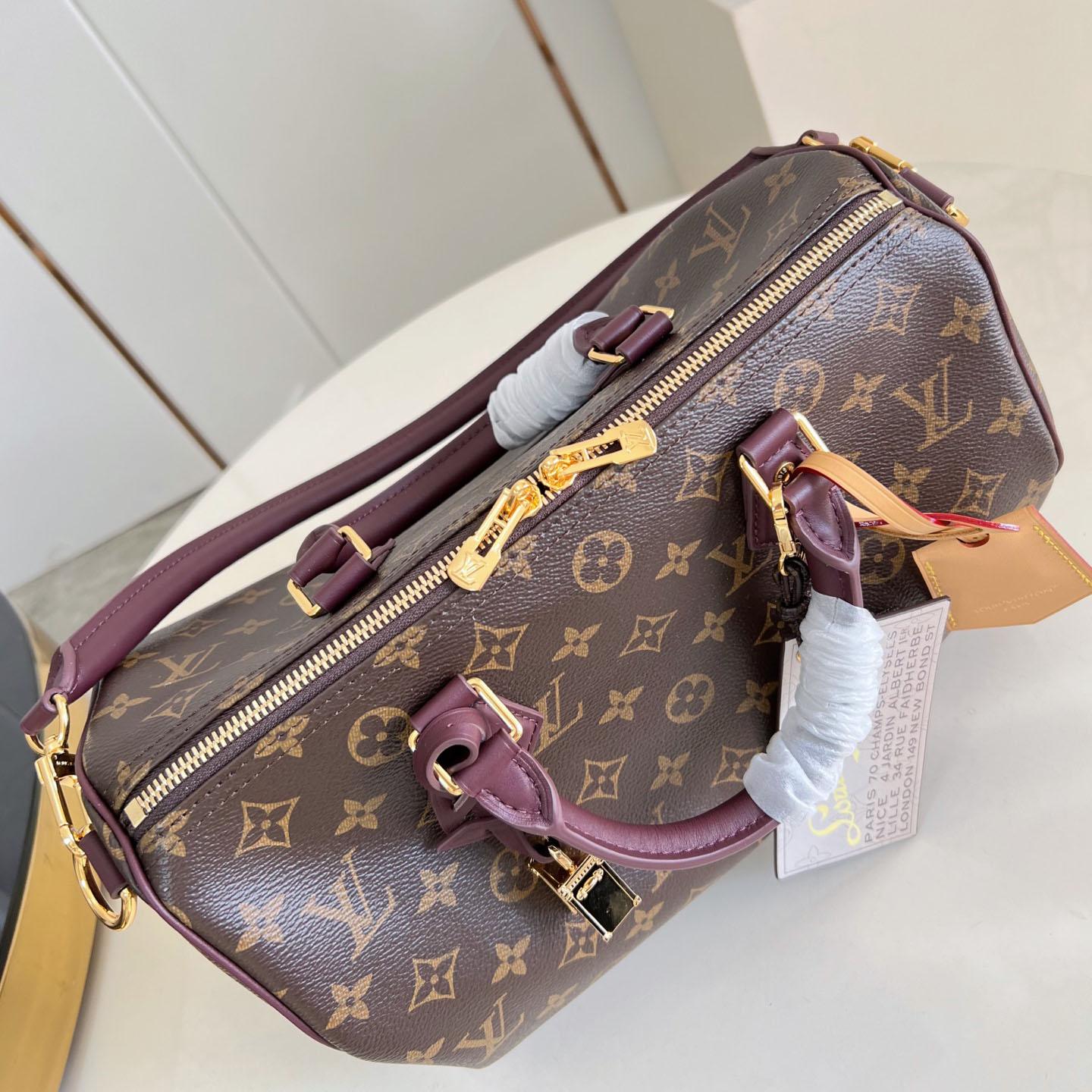 Louis Vuitton Speedy 30 Soft Celebration M28379 - DopestKickz