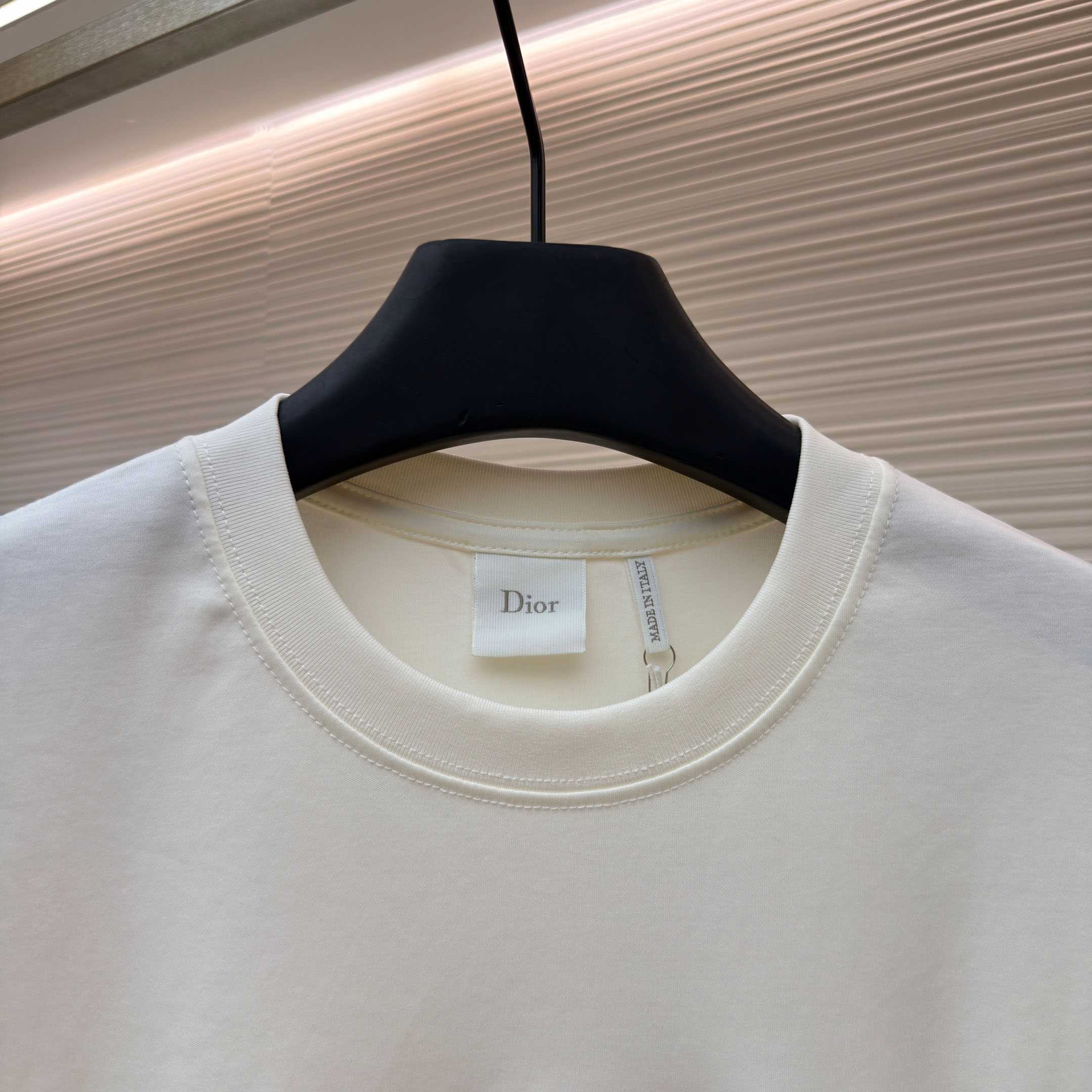  Dior T-shirt With Lettering - DopestKickz