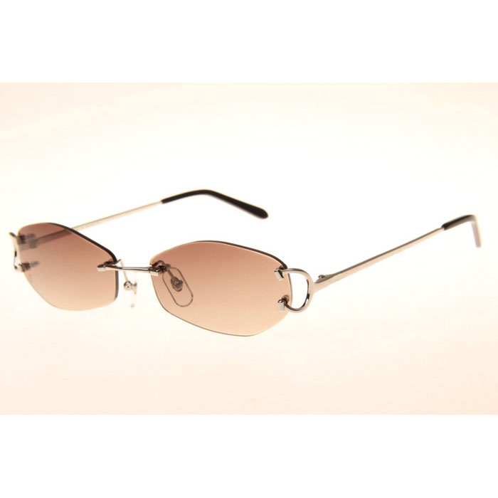 Cartier CT 4193831 Sunglasses In Silver Gradient Brown - DopestKickz
