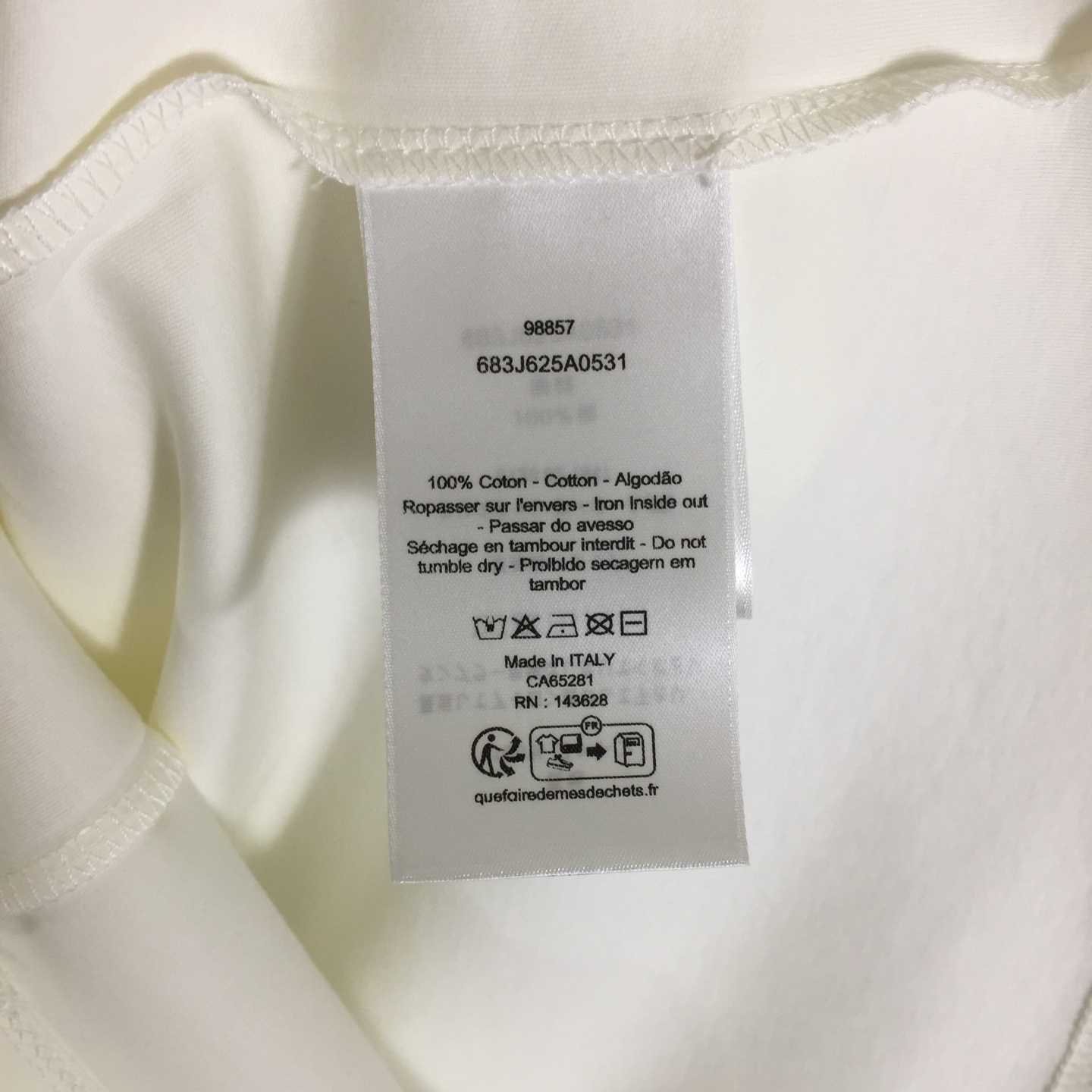 Dior T-shirt With Lettering  - DopestKickz