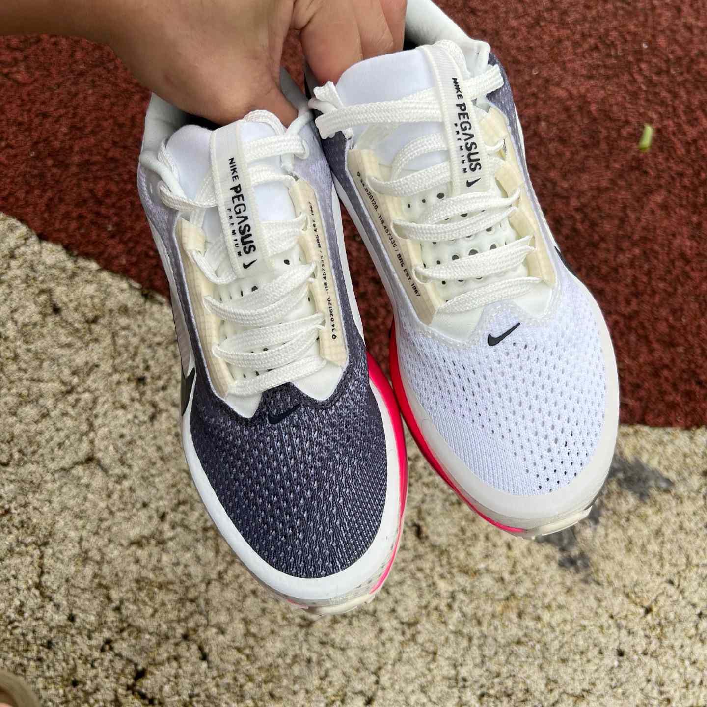 Nike Pegasus Premium  IQ1130-001  - DopestKickz