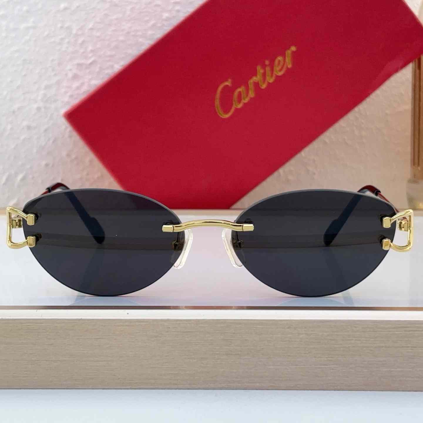 Cartier Sunglasses   CT0487O - DopestKickz