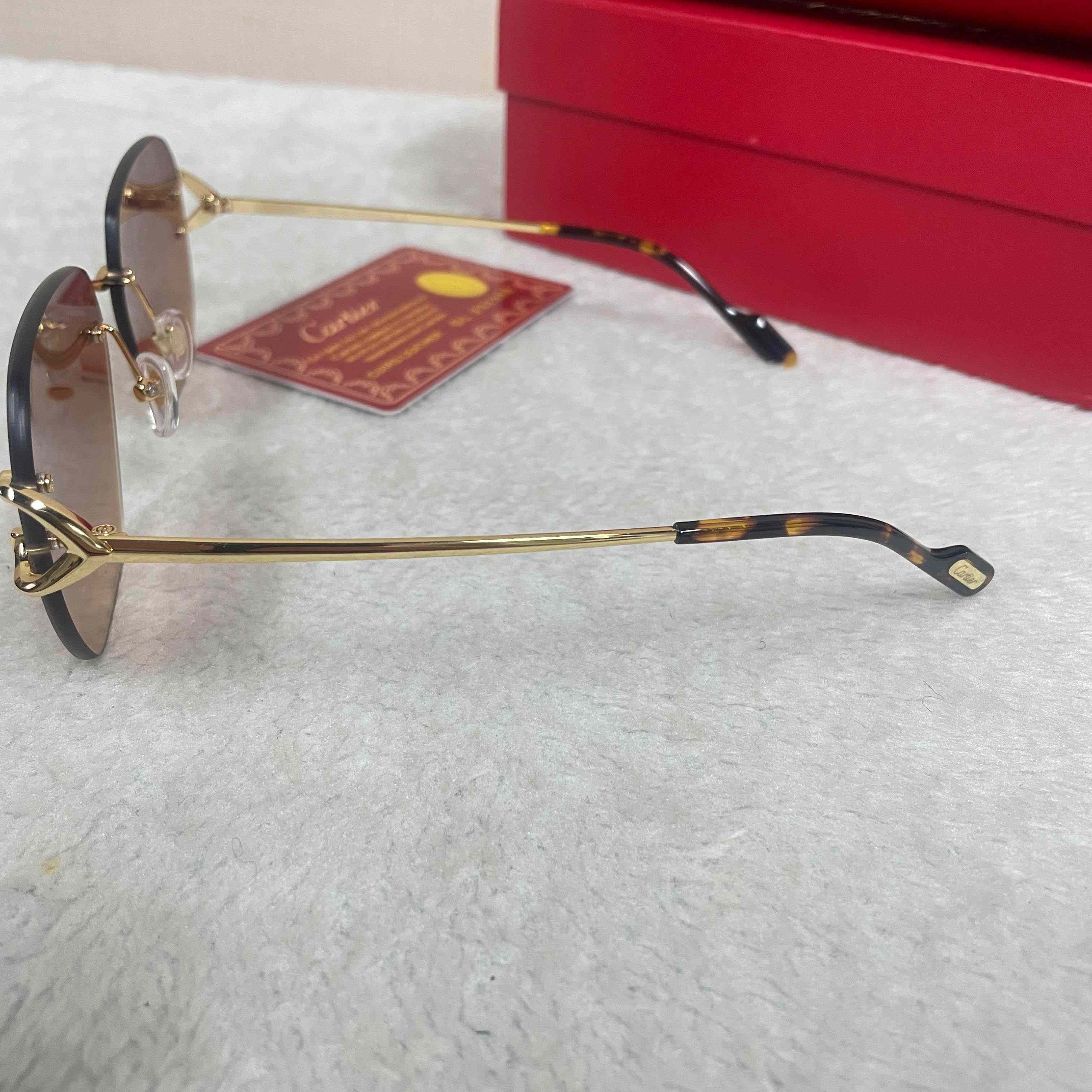 Cartier Sunglasses  CT0394S  - DopestKickz