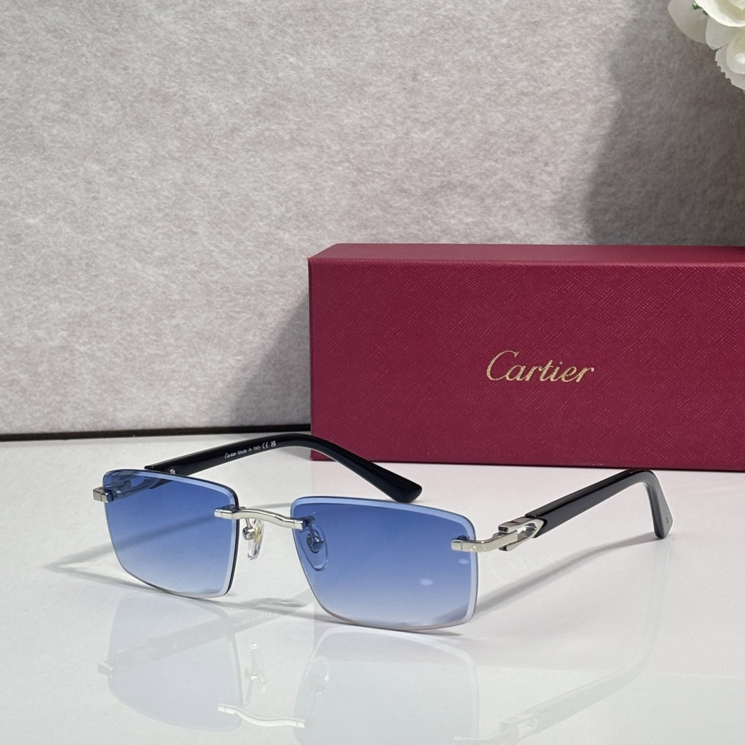 Cartier CT0582S Sunglasses    - DopestKickz