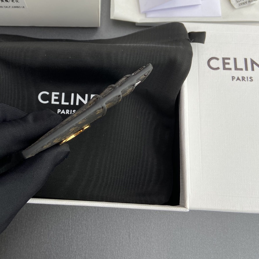 Celine Card Holder Triomphe In Triomphe Canvas - DopestKickz
