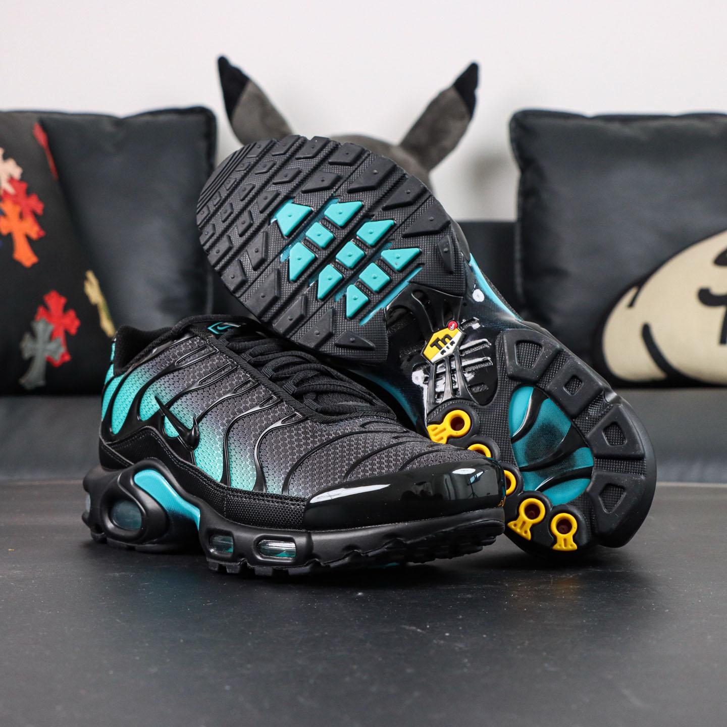 Nike Air Max Plus 'Black Dusty Cactus'  DM0032-016 - DopestKickz