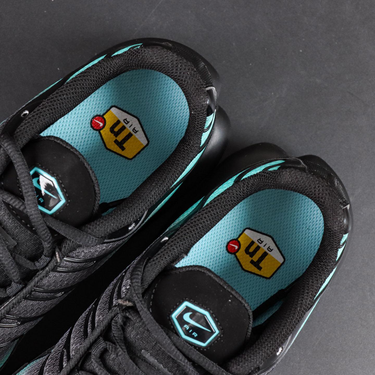 Nike Air Max Plus 'Black Dusty Cactus'  DM0032-016 - DopestKickz