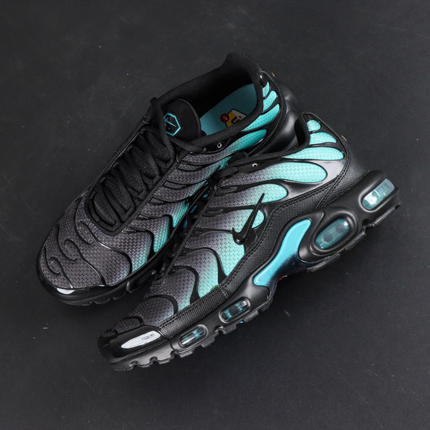 Nike Air Max Plus 'Black Dusty Cactus'  DM0032-016 - DopestKickz