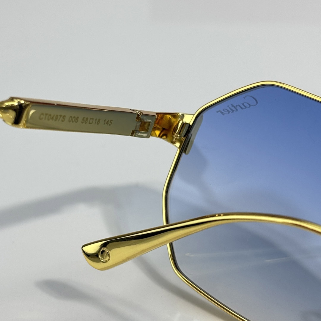 Cartier CT0497S Sunglasses    - DopestKickz