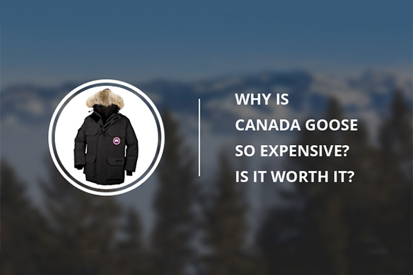 Is The Canada Goose Emory Jacket Worth It? - DopestKickz